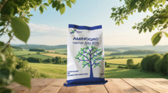 Compound Amion Acid Powder60%