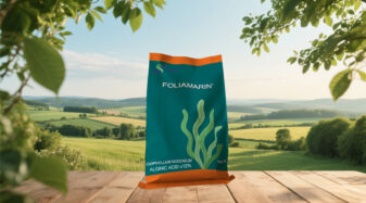 12% Seaweed Extract Fertilizer